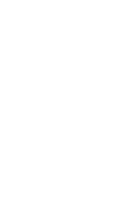 Garlic cloves Bay leaf Rosemary Onion Lemon juice Olive oil White wine Spices 